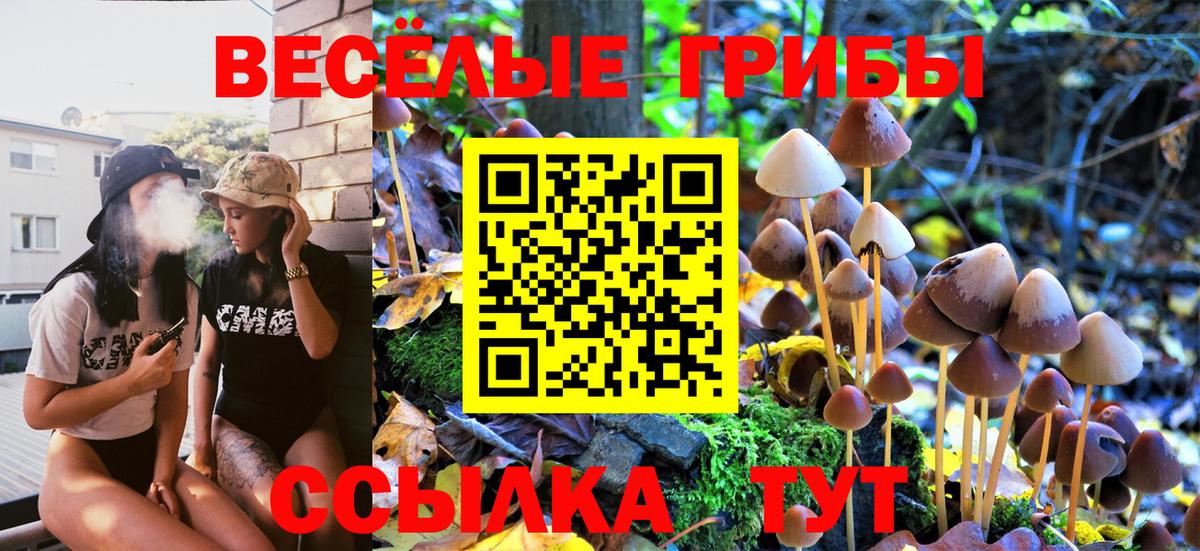 Фролово  Галлюциногенные грибы Magic Shrooms  Вход с VPN 
